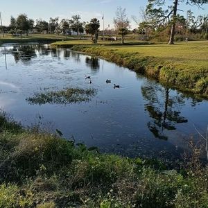 Meet your Posher, Eddie